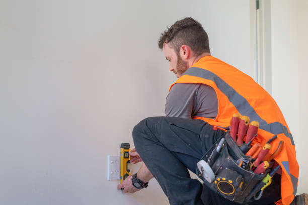 Best Licensed Electrician  in Mayo, FL