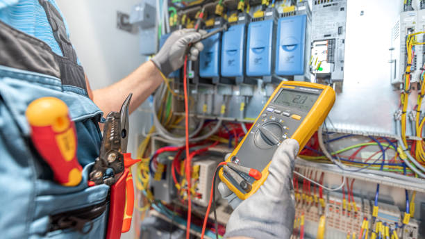 Best Electric Panel Repair  in Mayo, FL