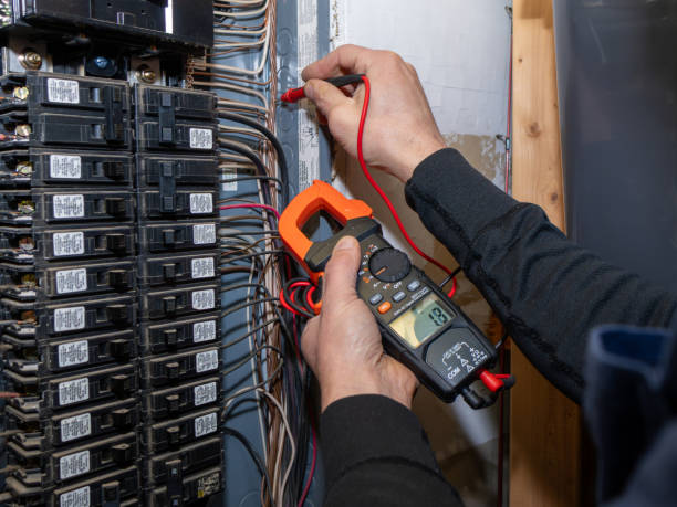 Best Electric Panel Repair  in Mayo, FL